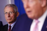 Director of the National Institute of Allergy and Infectious Diseases Dr. Anthony Fauci listens as President Donald Trump speaks