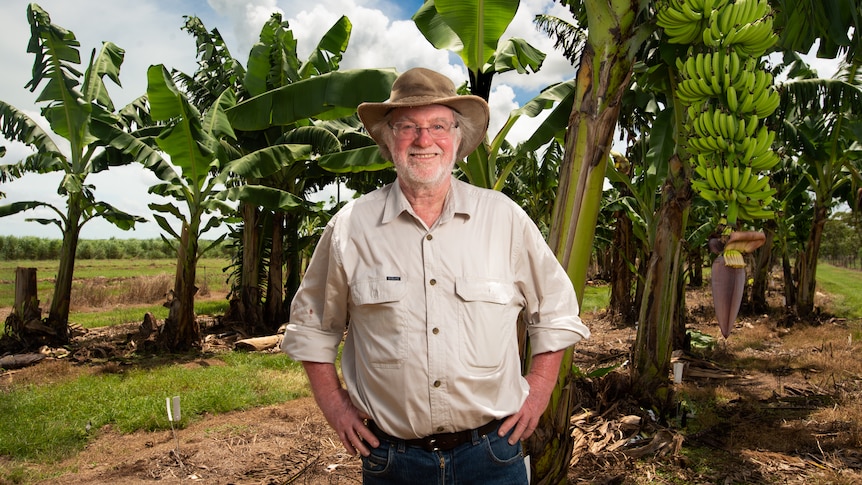 Man with beige workshirt on smiles at camera with hands on hips and wearing wide brim hat in front of banana trees. 