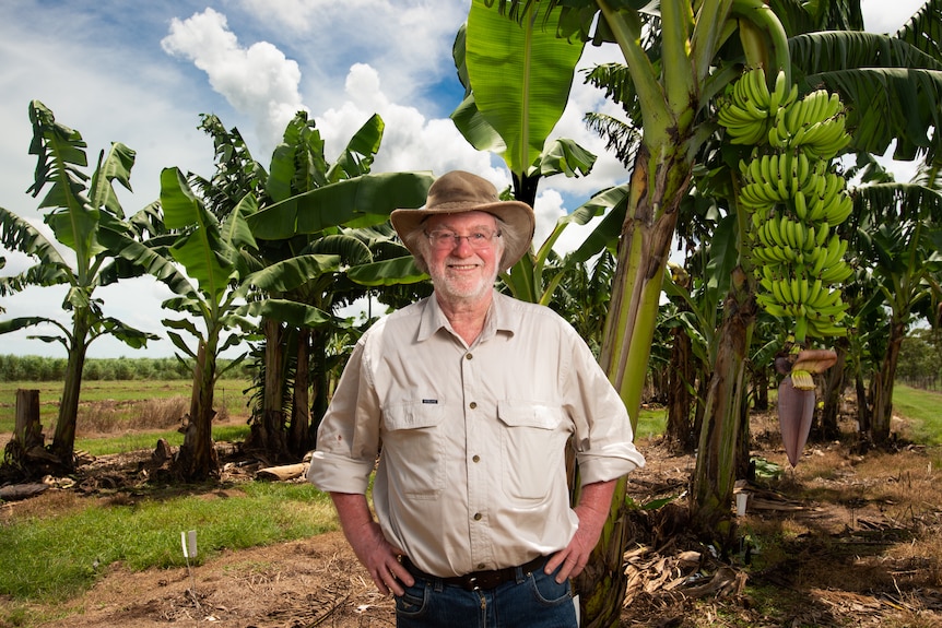 Man with beige workshirt on smiles at camera with hands on hips and wearing wide brim hat in front of banana trees. 