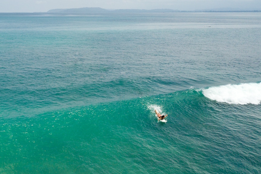 An aerial shot of a woman on a surfboard paddling for a wave.