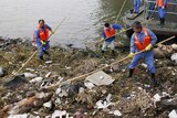 Shanghai workers retrieve the carcasses of pigs