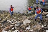 Shanghai workers retrieve the carcasses of pigs