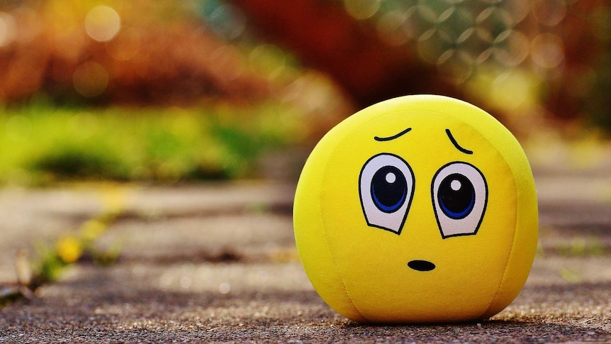 An emoji toy with an apologetic face sits on the ground.