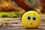 An emoji toy with an apologetic face sits on the ground.