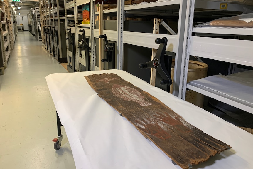 Bark of painting of a fish and swamp hen from 1912 on a trolley in museum's store room.