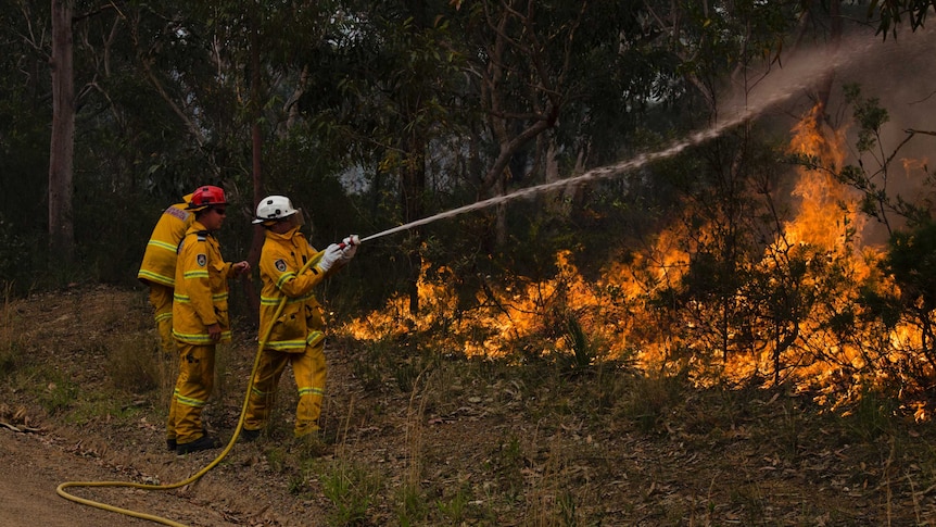 Firefighters spray bushfires