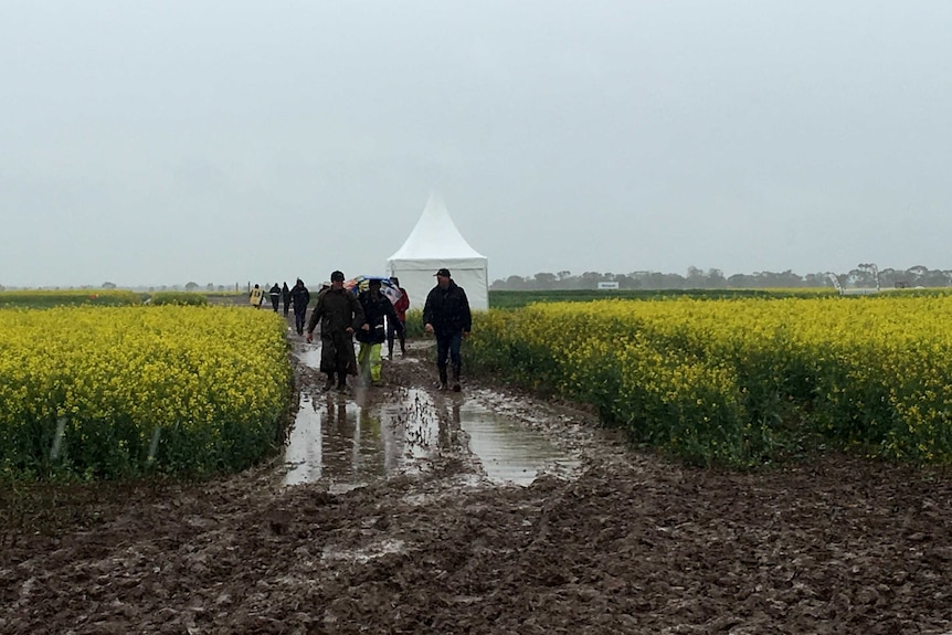 Farmers walk through muddy path