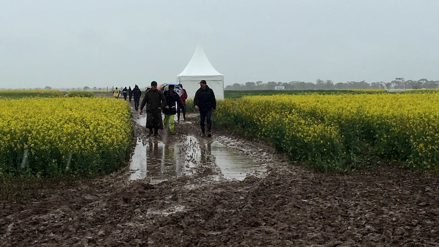 Farmers walk through muddy path