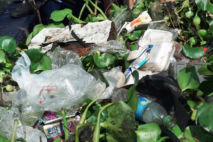 Plastic bottles, plastic bags and styrofoam food containers sit on top of plants poking above the water.