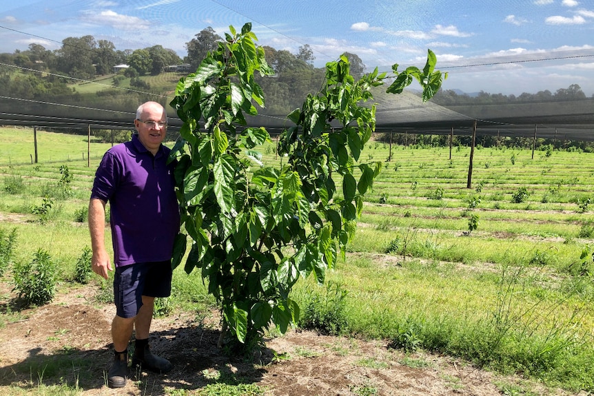 Peter standing next to a fruiting mulberry tree that is taller than him.