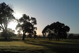 Adelaide parklands