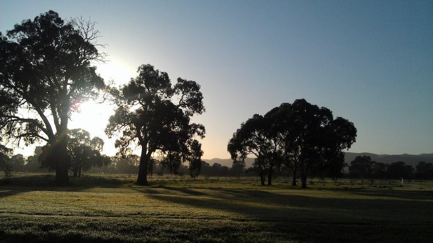 Adelaide sunrise