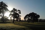 Adelaide parklands
