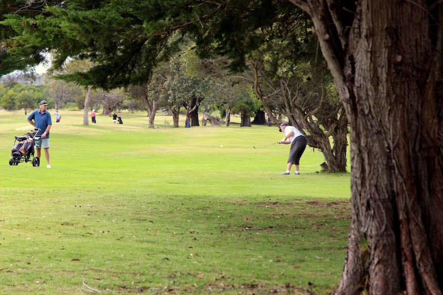 Two golfers on a fairway.