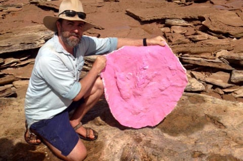 Steve Salisbury palaeontologist displays a silicon cast taken from a dinosaur footprint near Broome in WA