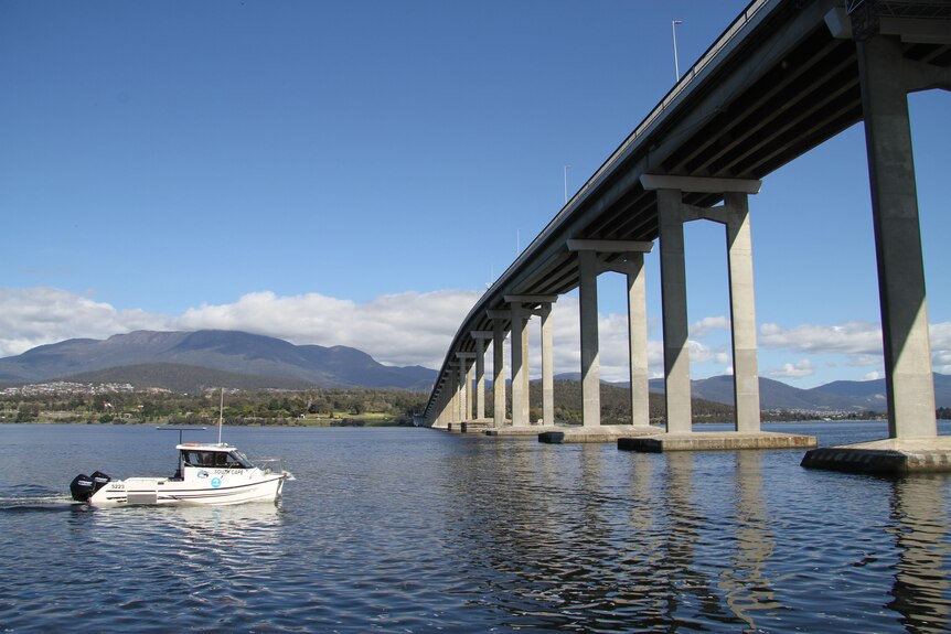 A boat motors beneath the Tasman Bridge.