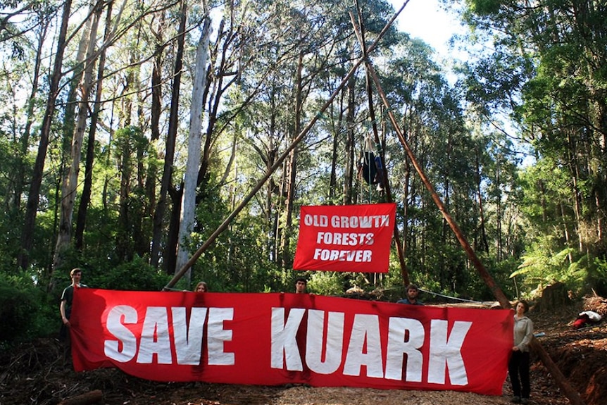 Conservations has set up a blockade in the Kuark Forest in eastern Victoria.