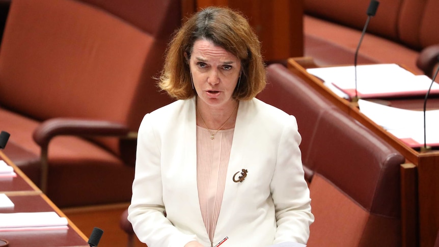 Anne Ruston stands in the Senate. She's wearing a cream blazer with a lizard brooch.