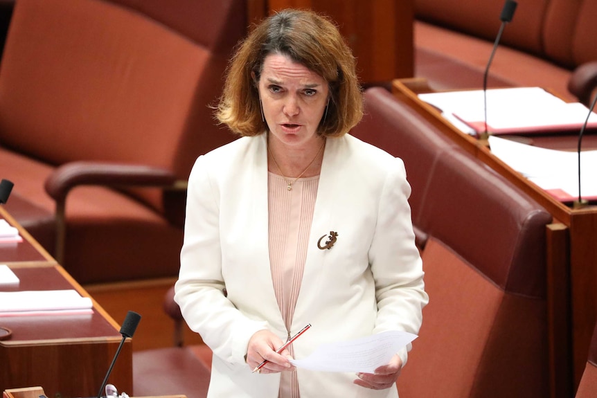 Anne Ruston stands in the Senate. She's wearing a cream blazer with a lizard brooch.
