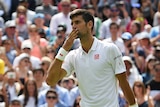 Novak Djokovic blows kisses to the crowd at Wimbledon