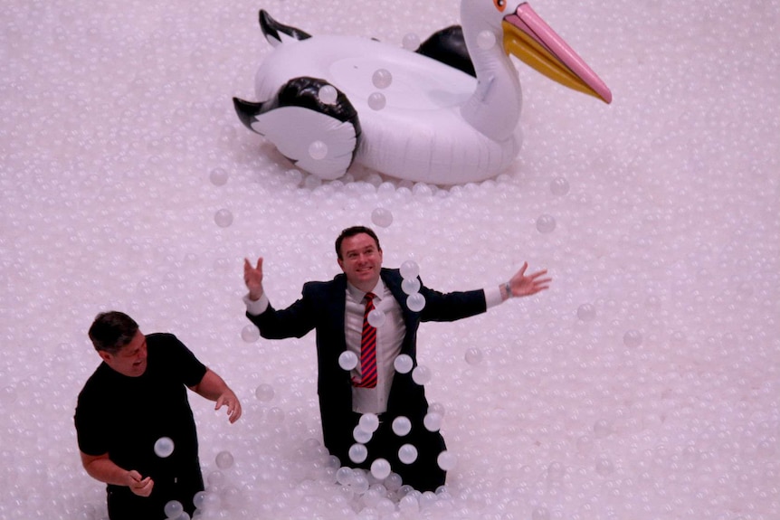 Sydney Festival Minister Stuart Ayers in ball pit