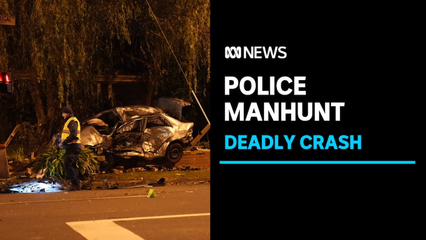 Police Manhunt, Deadly Crash: A police officer shining a torch in front of a heavily damaged car.