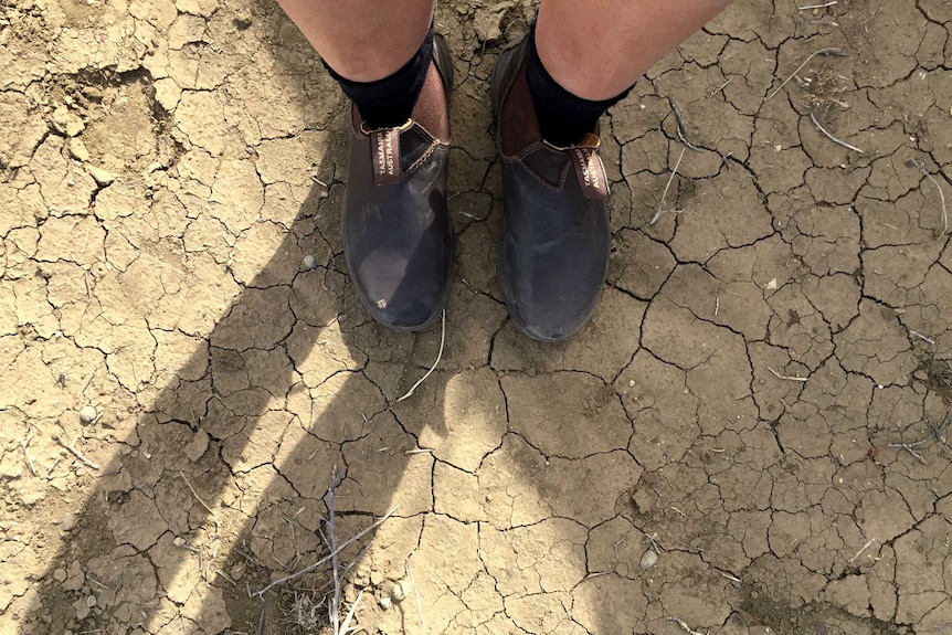 Feet on cracked earth due to drought