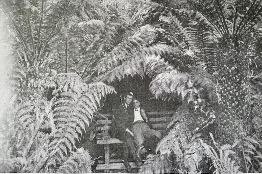 Black and white photo of two men amoung the ferns 