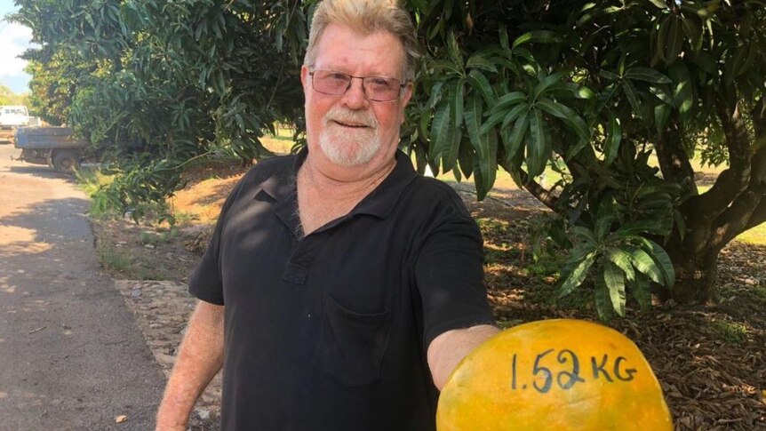 a man holds a big mango.