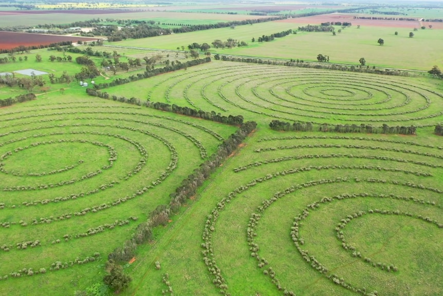 Aerial photo of spiral crops
