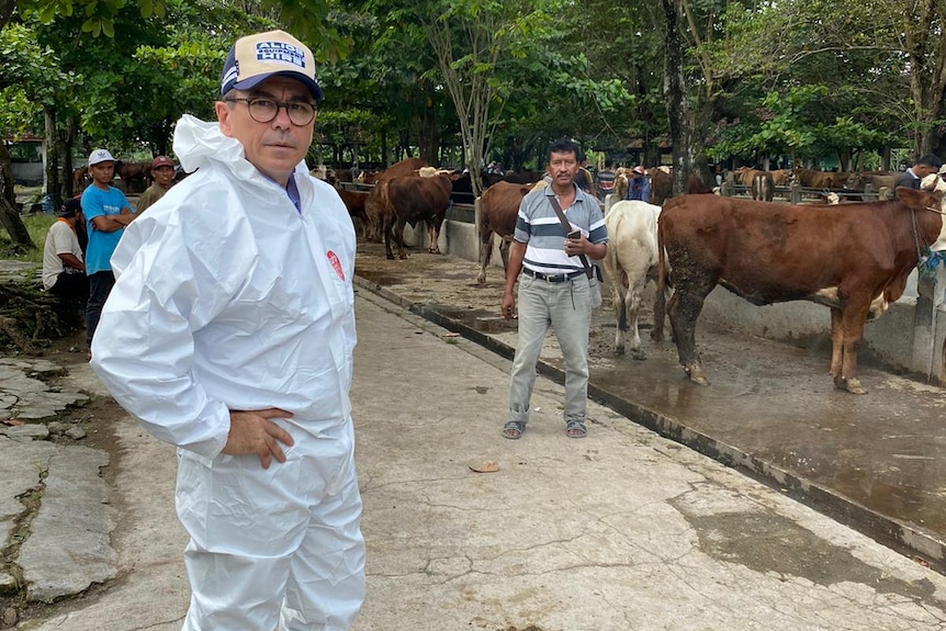 a man in a white biosecurity suit with cattle in the background.