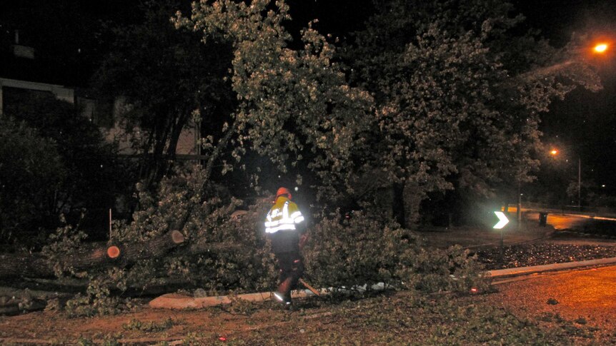 Fire fighters remove a tree from the roadway at Curtin in Canberra after heavy overnight rain.