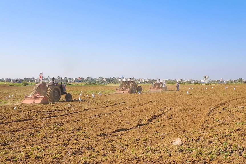 Farmers work the field in Gaza