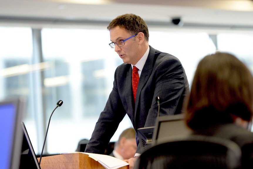 Counsel Assisting David Lloyd speaks at a royal commission hearing.