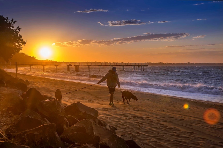 A man walks a dog along a beach at sunset.