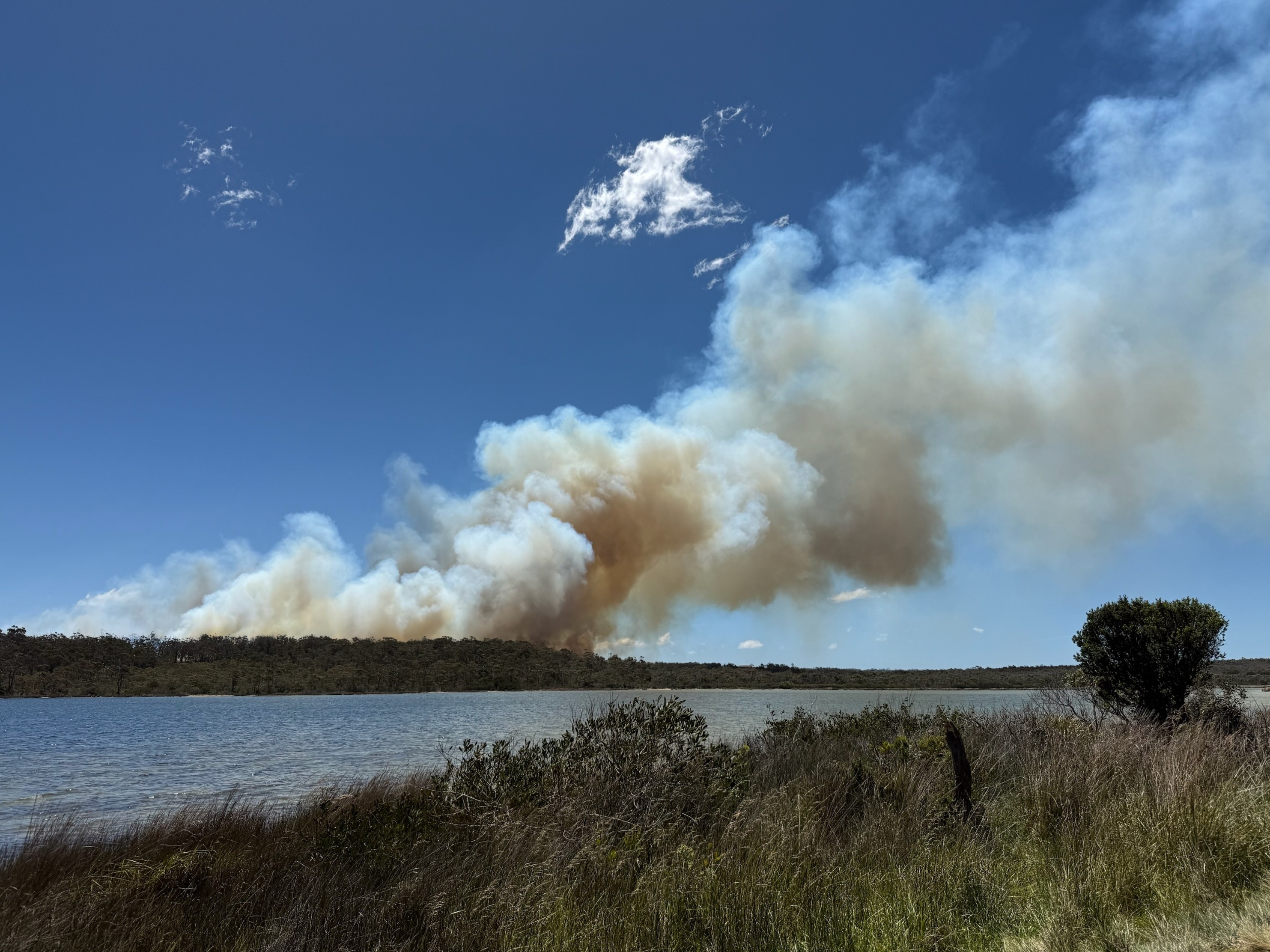 Nube de humo de incendios forestales vista sobre el agua.
