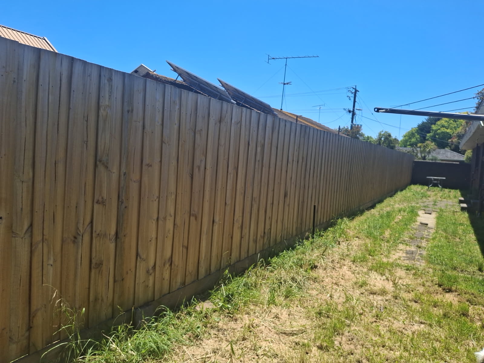 Una foto de un patio trasero vertical con césped verde, una valla de madera de color marrón claro, un tendedero y un cielo azul.