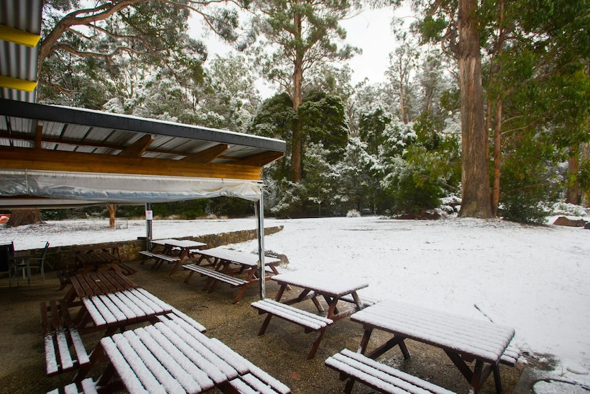 Outdoor seating and tables covered in snow, surrounded by tall trees.