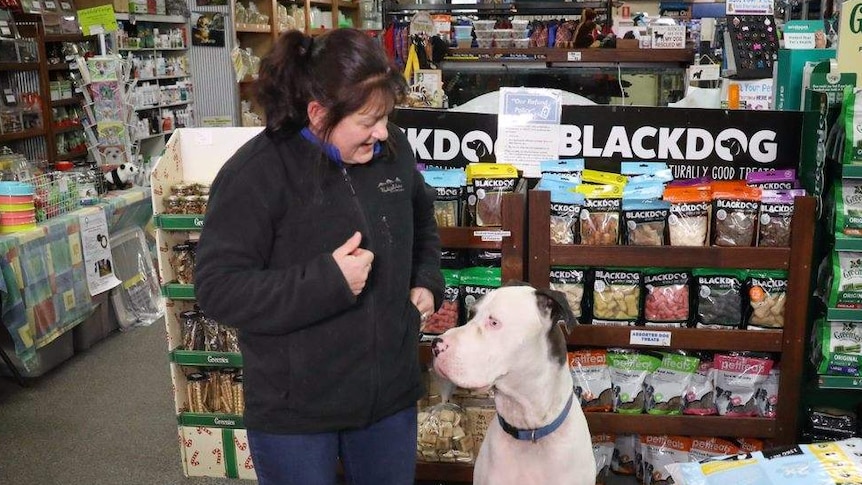 Alexis Kilby-Luhrs gestures to a large dog in a pet shop.