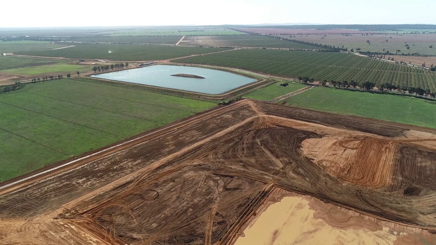 Webster Limited operations in the Murrumbidgee