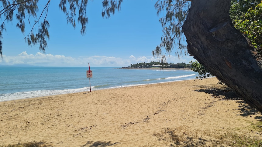 A "no swimming sign" at a beach.