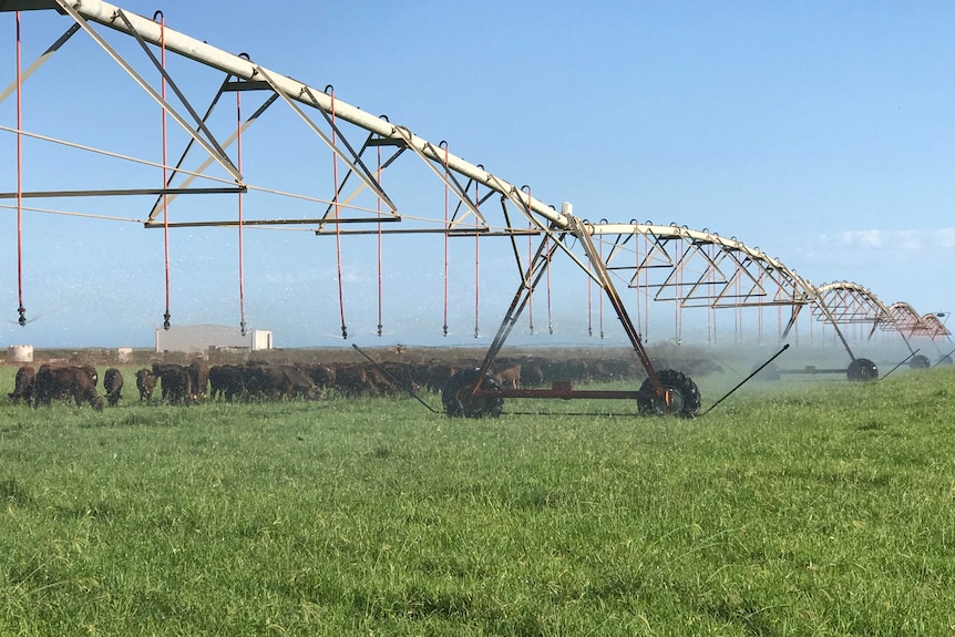 A shot of the irrigation system on the property.