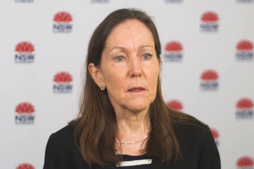 A woman with brown hair Dr Christine Selvey against a NSW Gov backdrop