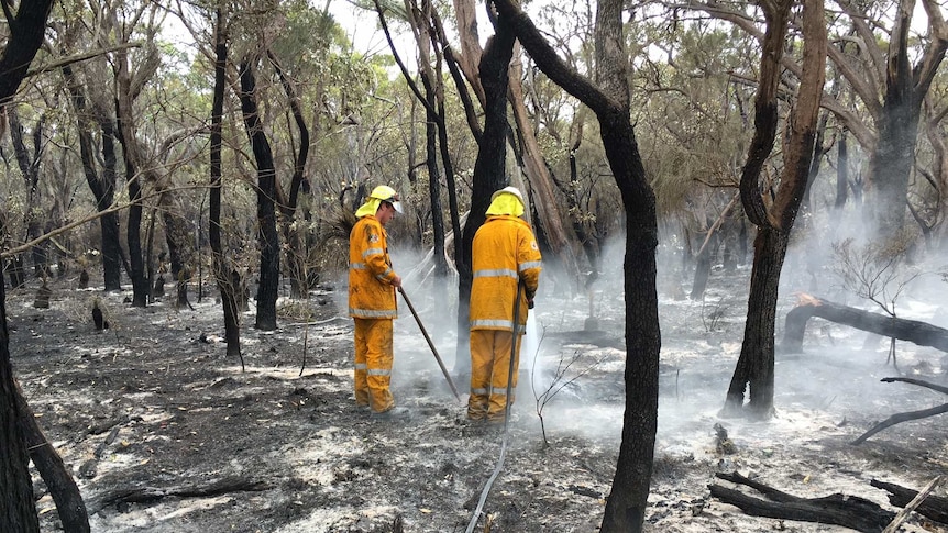 Fire fighters mopping up after the New Year's bushfire at Manypeaks.