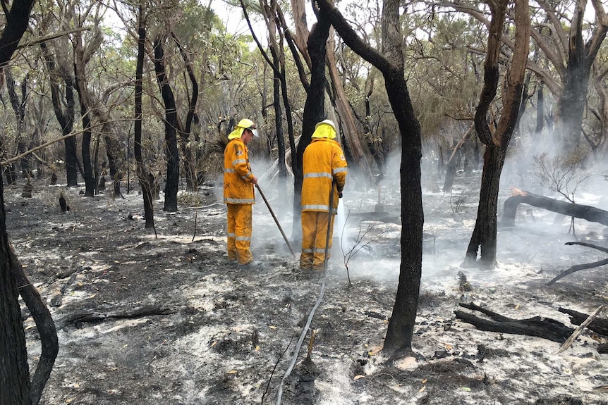 Fire fighters mopping up after the New Year's bushfire at Manypeaks.