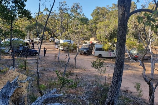 A ranger standing in a forest surrounded by campervans