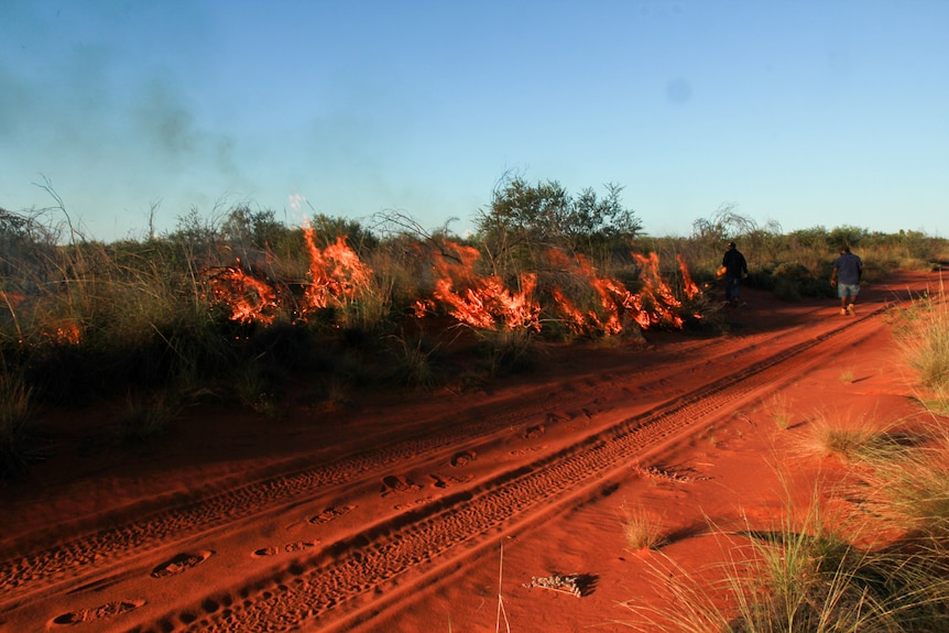 Fire burns beside a red dirt road.