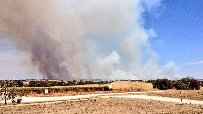 Smoke rises from the bushfire in the southern Flinders Ranges, which now has been burning for 29 days.