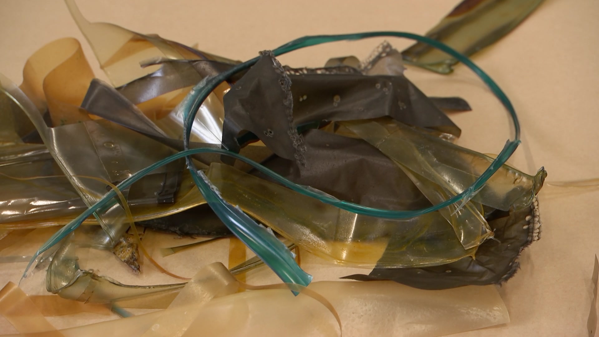 The Melbourne high school creating sustainable artwork with bioplastics ...