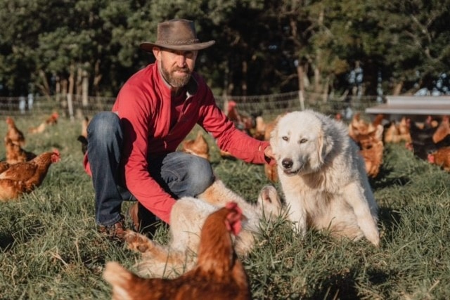 A man wearing a wide brimmed hat, jeans and shirt, crouches down next to a dog and some chickens in a paddock.